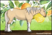 Horse Color:Silver Buckskin Dun Tobiano 