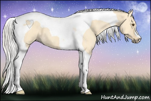 Horse Color: Silver Buckskin Dun Tobiano 