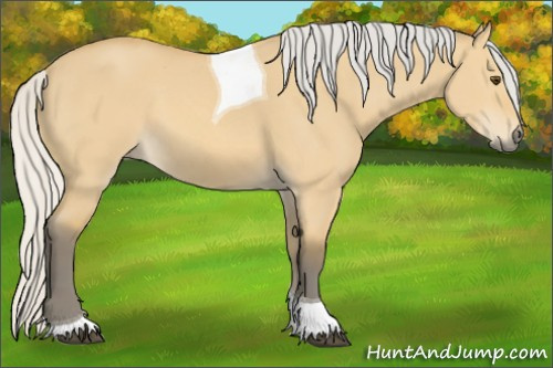 Horse Color: Silver Buckskin Dun Tobiano 