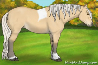 Horse Color:Silver Buckskin Dun Tobiano 
