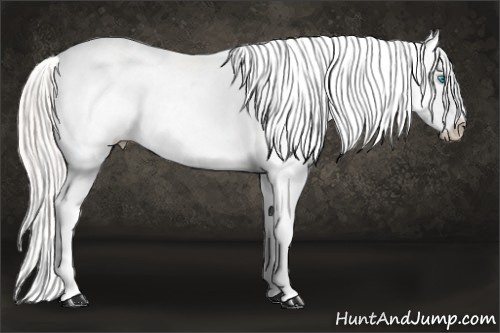 Horse Color: Cremello Sabino Near Leopard 