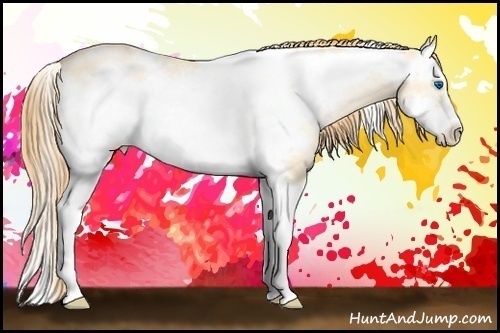 Horse Color: White Spotted Buckskin Pearl Dun Splash Frame 