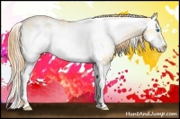 Horse Color:White Spotted Buckskin Pearl Dun Splash Frame