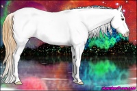 Horse Color:Buckskin Dun Near Leopard 