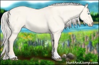 Horse Color:Cremello Dun Tobiano