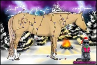 Horse Color:Palomino Dun Tobiano 