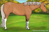 Horse Color:Silver Bay 