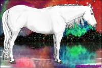 Horse Color:Gray Silver Buckskin Dun Tobiano 