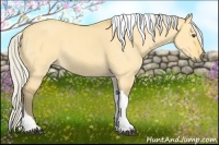 Horse Color:Silver Buckskin Dun Tobiano 