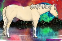 Horse Color:Palomino Dun Tobiano 