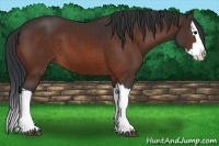 Horse Color:Brown Splash