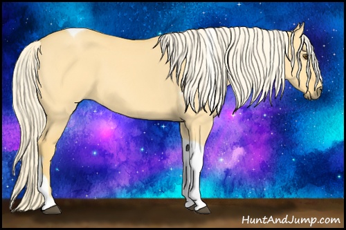 Horse Color: Palomino Dun Tobiano 