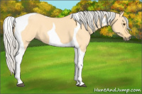 Horse Color:Silver Buckskin Dun Tobiano