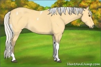 Horse Color:Silver Buckskin Dun Tobiano 