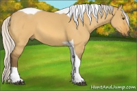 Horse Color:Silver Buckskin Dun Tobiano