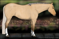 Horse Color:Silver Buckskin Roan Dun Tobiano