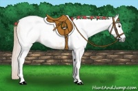 Horse Color:Gray Palomino Dun Tobiano 