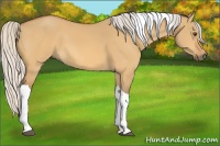 Horse Color:Silver Buckskin Dun Tobiano 