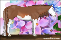 Horse Color:Chestnut Sabino Splash 