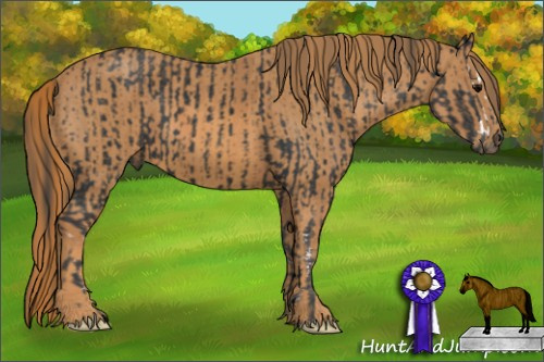 Horse Color: Black Splash  Brindle