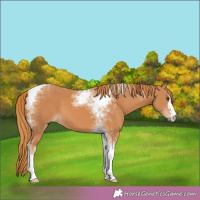 Horse Color:Chestnut Tobiano 
