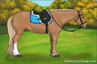 Horse Color:Chestnut Tobiano