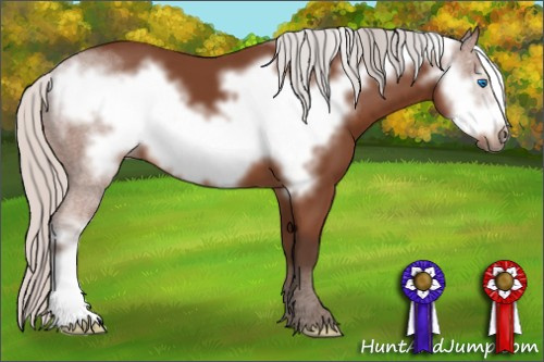 Horse Color: Silver Bay Frame 