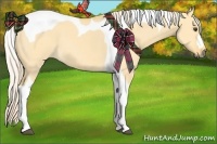 Horse Color:Palomino Dun Tobiano 