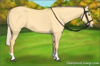 Horse Color:Palomino Dun Tobiano 