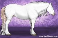 Horse Color:Sable Cream Champagne Pearl Dun Blanket 