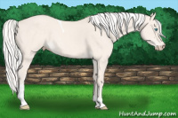 Horse Color:Silver Perlino Dun Tobiano 