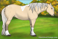 Horse Color:Silver Buckskin Dun Tobiano 