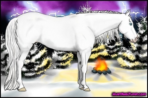 Horse Color: Silver Perlino Dun 