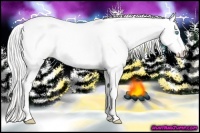 Horse Color:Silver Perlino Dun 