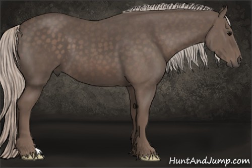 Horse Color: Silver Black 