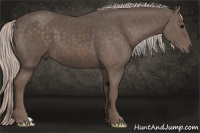 Horse Color:Silver Black 