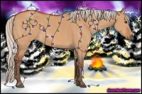 Horse Color:Silver Bay Dun