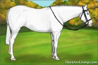 Horse Color:Silver Perlino Dun