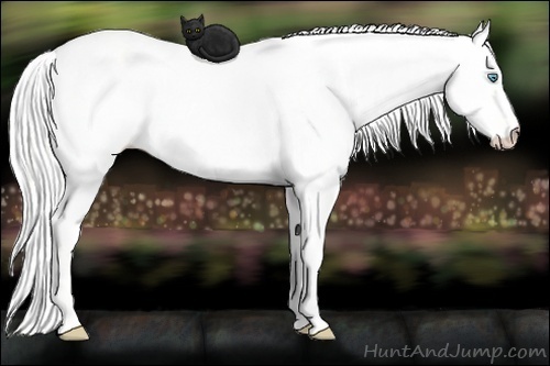 Horse Color: Cremello Dun 