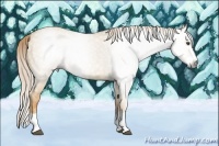 Horse Color:Gray Palomino Roan Dun Splash 