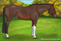 Horse Color:Bay Tobiano Varnish 