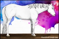 Horse Color:Silver Smoky Creme Dun 