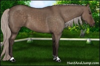 Horse Color:Silver Brown Dun 