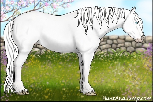 Horse Color: Cremello Dun 
