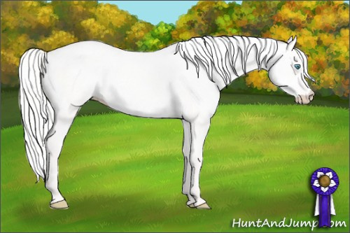 Horse Color: Silver Perlino Dun 