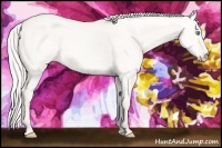 Horse Color:Silver Perlino Dun 