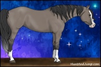 Horse Color:Grullo Splash 