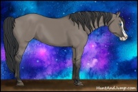 Horse Color:Grullo Splash 