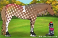 Horse Color:Chestnut Tobiano 