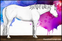 Horse Color:Cremello Dun 
